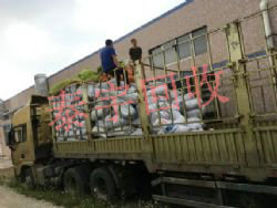 �߼۴�������˿��������