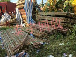 С��ͨ С���ܸ߼ۻ���