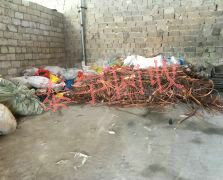 ��ͭ��������