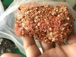 ���������ͭ����