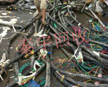 ���ر��ϵ��� ��ƽ�����»���