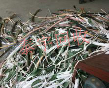 ��ͭ���� ���߻��� ��Ƥ����ͭ����