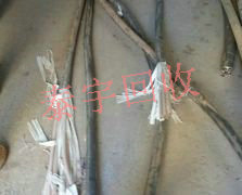 ���� ���߻���