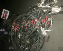 ���ر��ϵ��� ���߻���