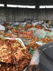 ֽͭ���� �ƽ��������